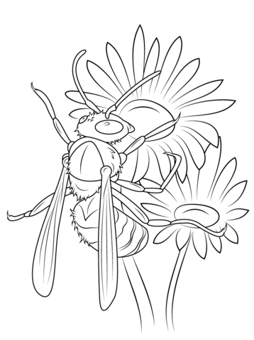 Hornet On The Michaelmas Daisies Coloring Page